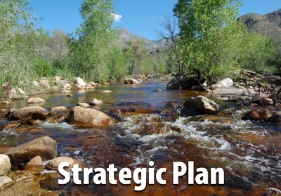 We have a vision, and we also have a plan!