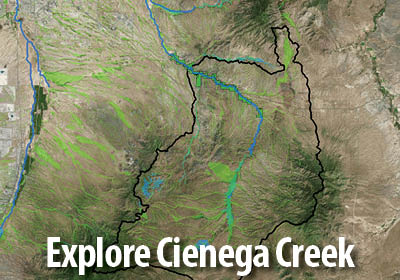 Cienega Creek Watershed