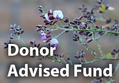 Donate through a IRA Charitable Rollover to Watershed Management Group