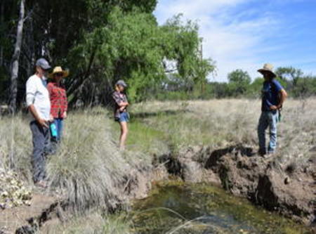 Cienega Creek Restoration Workshop