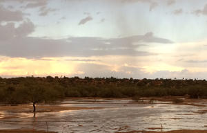 Pima County and WMG work together to sink stormwater into the CDO floodplain.