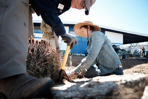 Plant the water, then plant your plants!