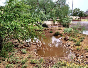 Hydrate Glendale takes place Wednesdays in May.