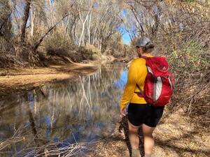A volunteer surveys for evidence of beaver along the lower San Pedro River in December 2024