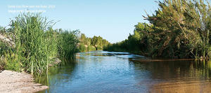 The effluent-dependant flow in the Santa Cruz River supports a ribbon of green north of Tucson.