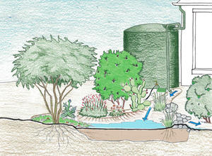 Passive and active rain harvesting.