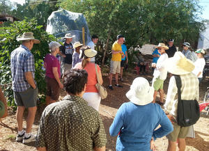 Joaquin Murrieta-Salvidar, Ecología Cultural