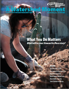 Cover of 2020 Summer WMG Newsletter