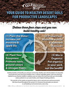 Your guide to healthy desert soils for productive landscapes