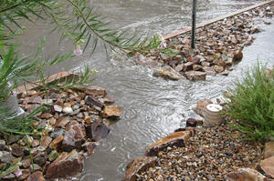 Curb cut in a local Tucson neighborhood
