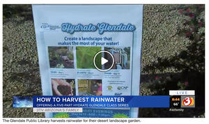 Screenshot of TV story by AZ Family in Phoenix.