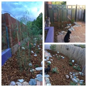 Earthworks created by WMG at a local home that is on the tour.