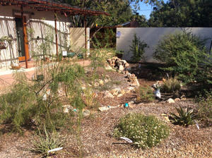 At this midtown house, rainwater flows off the roof and down a decorative rain chain into a pot.