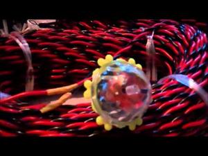 Embedded thumbnail for Making a depth sensor probe for bore wells in India