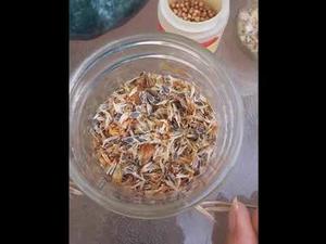 Embedded thumbnail for Seed Saving