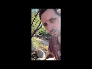 Embedded thumbnail for Pruning Right-of-Way Trees in Your Neighborhood