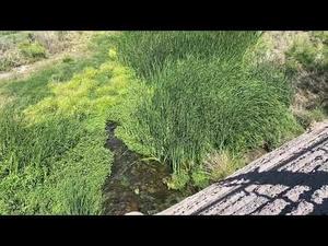 Embedded thumbnail for A Look At Large-Scale Green Infrastructure with Joaquin