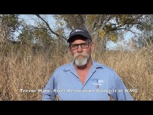 Embedded thumbnail for Welcome to the Lower Tanque Verde Streamshed