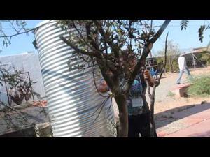 Embedded thumbnail for Tecnología Sustentable