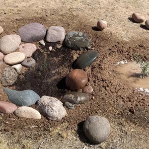 Rock lined basin and a freshly established mesquite sapling getting watered! Photo provided by Linee F.