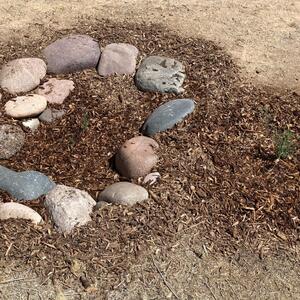  Wet mulch in a saturated rain basin! Mulch can help retain moisture after a rain event. Photo provided by Linne F.