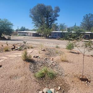 A dynamic basin prior to rainfall! These basins can play a vital role in averting floods and harvesting rainwater. Photo provided by Margaret L.