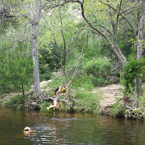 Watershed Management Group Sabino Creek Living Waters gallery photo