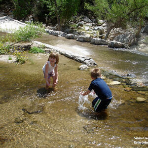 Watershed Management Group Sabino Creek Living Waters gallery photo