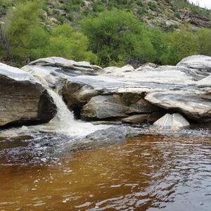 Watershed Management Group Sabino Creek Living Waters gallery photo