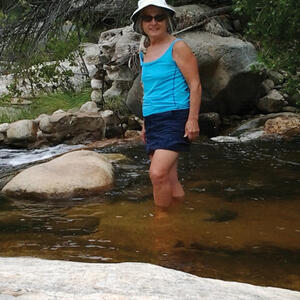 Watershed Management Group Sabino Creek Living Waters gallery photo