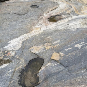 Watershed Management Group Sabino Creek Living Waters gallery photo