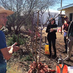 WMG's Policy & Technical Director Catlow Shipek teaching a group.