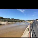 Rillito at Campbell Ave, photo of flow