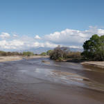 2010: Conserve to Enhance pilot launched with 60 participants in partnership with Sonoran Institute and UA Water Resources Research Center. Participants install water-harvesting projects to conserve water. Money saved on the water bill is donated to wash and river restoration projects.
