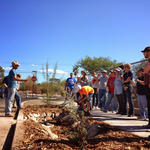 2013: WMG offers Design Build services for commercial landscapes and create a green infrastructure demonstration site at the Tucson Association of Realtors office.