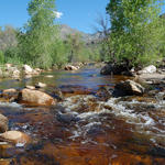 2015: WMG launches campaign to restore flow to Sabino Creek