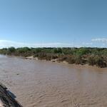Rillito at Shamrock Trailhead, photo of flow