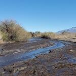 Canada del Oro at La Canada Dr, photo of flow