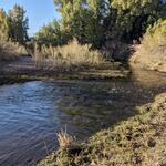 Santa Cruz at Marana Heritage Park, photo of flow
