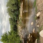 Sabino at Bear Canyon Trail, photo of flow