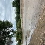 Tanque Verde at Freeman Rd, photo of flow