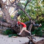 Jumping for joy after the wash walk and talk with Trevor