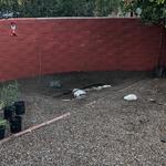 "I built it in a little corner of the backyard. There were some old and current irrigation lines to work around." - Carol B.