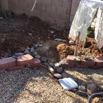 "The shade structure is a new lemon tree. Not visible are lady’s slipper cactus, aloe Vera, shade tree and Arizona milkweed." - Kate K.