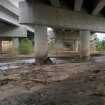 Canada del Oro at La Cholla Blvd, photo of flow