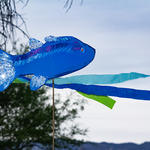 Restoring the flow will help bring back the fish.