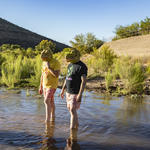 Human lizards wade in the Santa Cruz River. Photo by Nicci Radhe