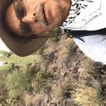 "This morning I cleared the western facing slope of a small peak in Tucson Mountain Park. I worked from 5:45 to 9:30 AM." - David R,