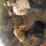 The Drummond and Radomsky families strike again with their invasive buffelgrass pull!