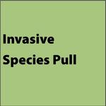 Steward In Place: Invasive Species Pull
